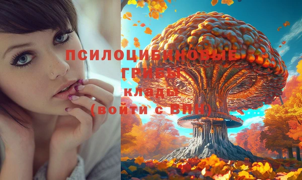 метамфетамин Пересвет